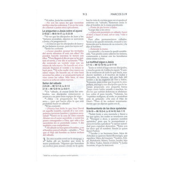BIBLIA NVI ULTRAFINA DOS TONOS FLOR ROSA/VERDE