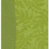 BIBLIA RVR60 DE ESTUDIO SERIE 50 PIEL VERDE