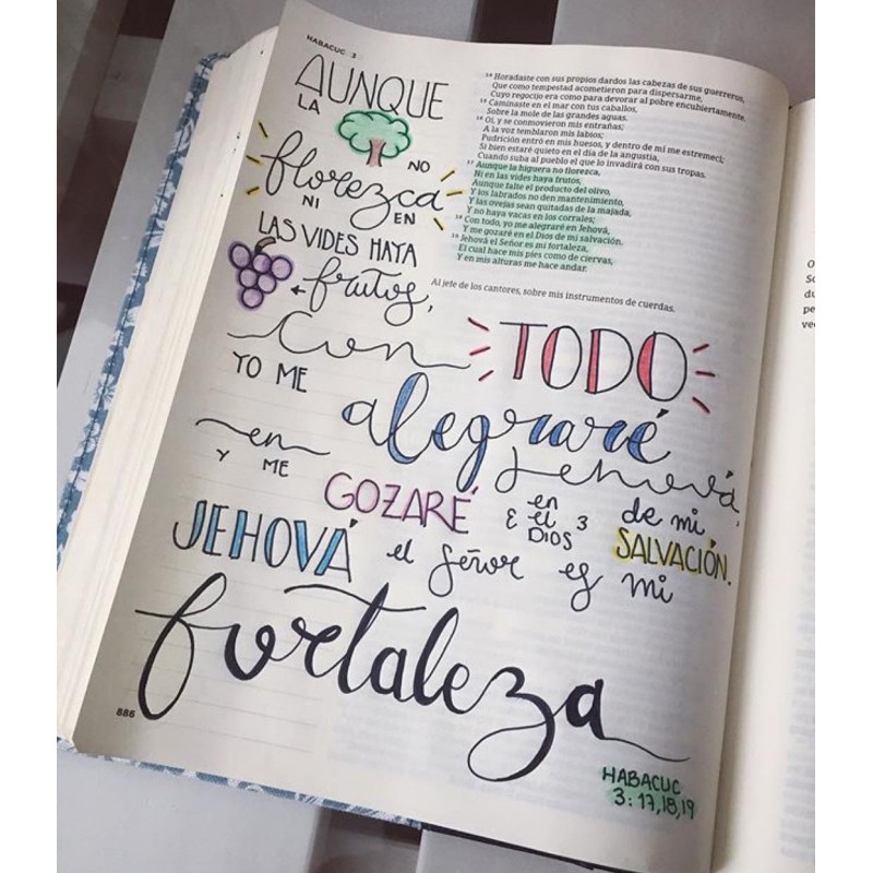 Biblia de apuntes floreada