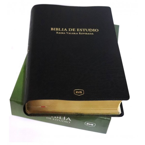 BIBLIA RVR77 DE ESTUDIO REINA-VALERA REVISADA CLASICO PIEL ESPECIAL